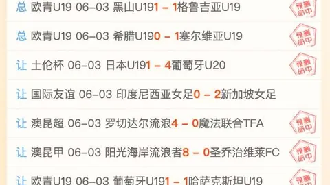 开云体育